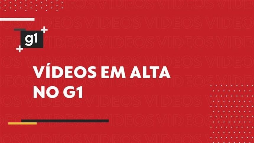 O casal que viaja o mundo cuidando de pets