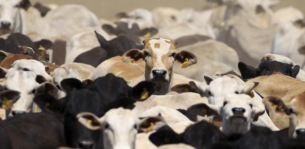 Suspensão da UE à carne brasileira não vai durar muito, diz pecuarista
