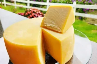 Maior festival de queijo artesanal de Minas reúne 13 regiões em BH