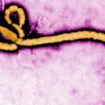 Quênia avança com centro de quarentena para Ebola em parceria com EUA