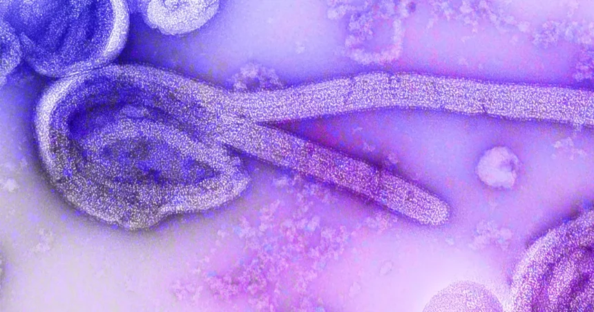 Paciente de Uganda sob suspeita de Ebola testa positivo para malária no RJ