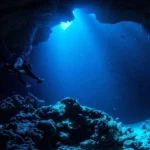 Tratado do Alto-Mar entra em vigor e muda proteção dos oceanos