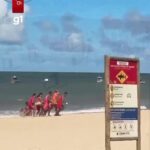 Brasil está entre países com mais casos de ataques de tubarão