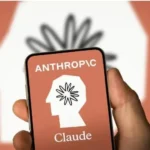 Crescimento da receita elevou a Anthropic, diz especialista