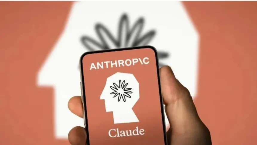 Crescimento da receita elevou a Anthropic, diz especialista