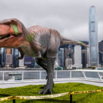 Dinossauro: Por que o Tyrannosaurus rex braços curtos - 01/06/2026 - Ciência