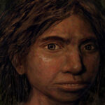 DNA explica união de 'Homo sapiens' com outras espécies - 03/06/2026 - Darwin e Deus