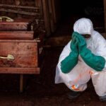 Como tratar o ebola e se manter seguro - 07/06/2026 - Equilíbrio e Saúde