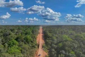 Mesmo com avanços recentes, projetos ainda enfrentam dúvidas