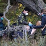 Argentina não encontra roedores com cepa de hantavírus - 13/06/2026 - Equilíbrio e Saúde
