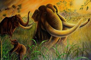 Herbívoros domésticos não substituem megafauna, diz estudo - 20/06/2026 - Reinaldo José Lopes