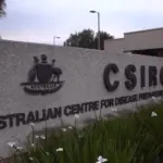 Austrália relata segundo caso de gripe aviária H5N1 em menos de uma semana