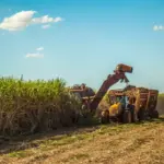 Nordeste deve liderar crescimento econômico do Brasil em 2026