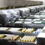 Granja Faria poderá antecipar pagamento de emissão de R$ 200 milhões
