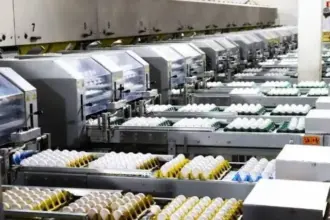 Granja Faria poderá antecipar pagamento de emissão de R$ 200 milhões
