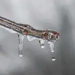 Potente massa de ar frio pode trazer neve a dois estados do Brasil