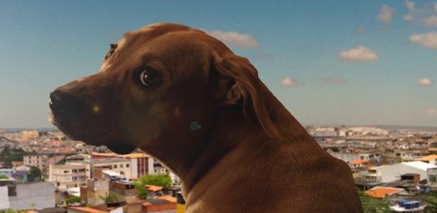 Imagem