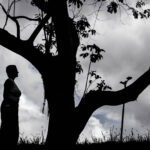 SUS já deveria ter metade dos remédios pedidos na Justiça - 28/06/2026 - Equilíbrio e Saúde
