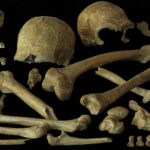 Perto do fim, neandertais europeus eram saudáveis - 28/06/2026 - Ciência