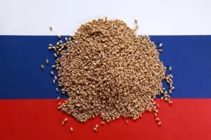 Argus eleva previsão da safra de trigo da Rússia