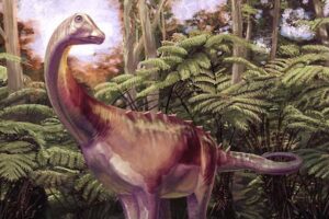 Dinossauro: fóssil esquecido em gaveta era de titanossauro - 01/07/2026 - Ciência