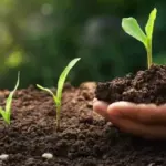 AgTech alemã de fertilizantes capta R$ 106 milhões para expansão no Brasil