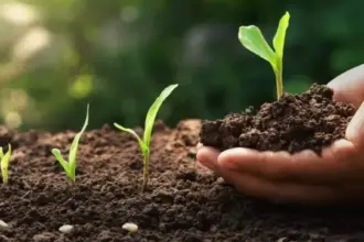 AgTech alemã de fertilizantes capta R$ 106 milhões para expansão no Brasil