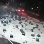 Caminhão derruba 2 mil garrafas de cerveja e vídeo viraliza; veja