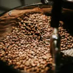 Safra de café do Brasil 2026/27 chega a 52%, aponta Safras & Mercado