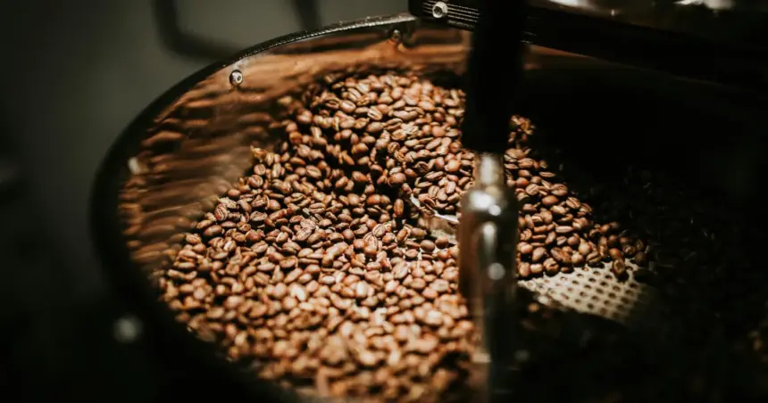 Safra de café do Brasil 2026/27 chega a 52%, aponta Safras & Mercado
