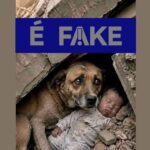 É #FAKE foto de cachorro protegendo bebê em terremoto na Venezuela; imagem foi criada com inteligência artificial