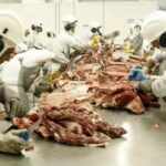 China é a principal compradora da carne bovina brasileira