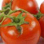 Antioxidante do tomate também está em cítricas, diz estudo - 08/07/2026 - Equilíbrio