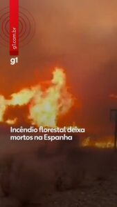 Incêndio florestal deixa 12 mortos no sul da Espanha; VÍDEO mostra estrada cercada pelas chamas