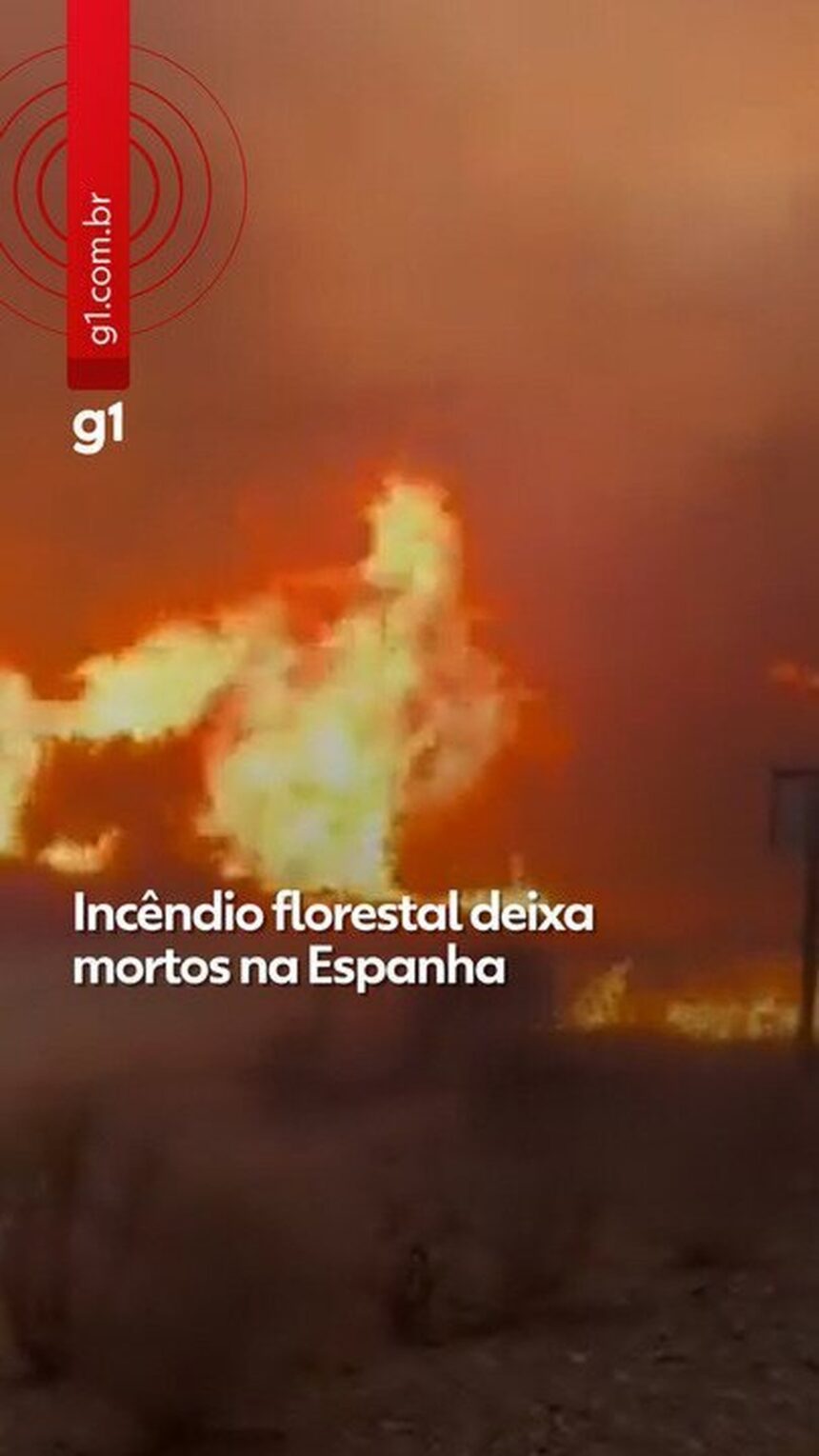 Incêndio florestal deixa 12 mortos no sul da Espanha; VÍDEO mostra estrada cercada pelas chamas