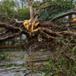 China aguarda chegada de tufão enquanto ainda resgata vítimas da última tempestade