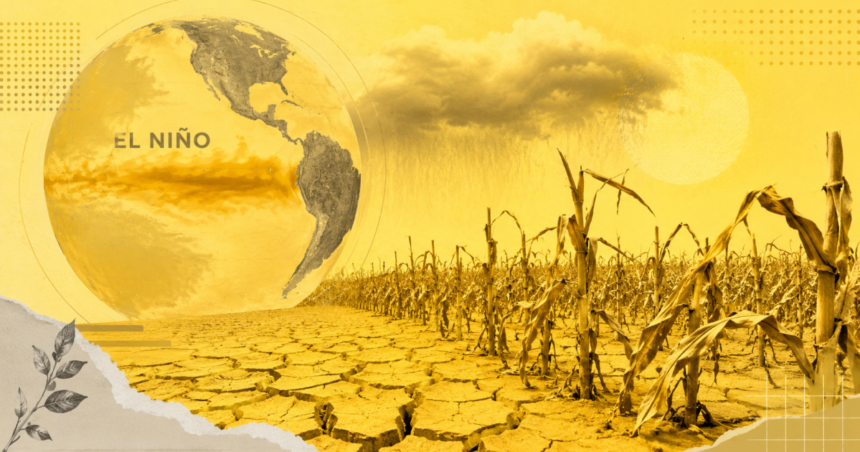 El Niño pode ser o mais forte desde 1950; entenda efeitos no agro