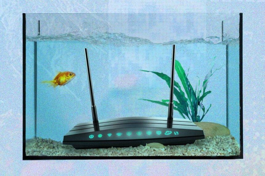 Wi-fi: veja objetos que prejudicam sua conexão em casa - 12/07/2026 - Economia