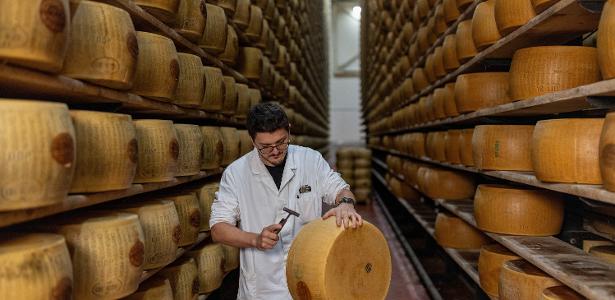 Avaliador inspeciona queijo parmesão em Montecavolo di Quattro Castella