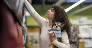 Inverno exige atenção redobrada e check-ups preventivos para cães e gatos