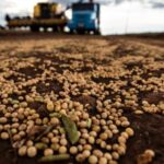 Tarifaço ameaça setores exportações do agronegócio