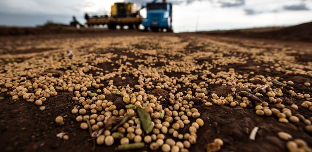 Tarifaço ameaça setores exportações do agronegócio