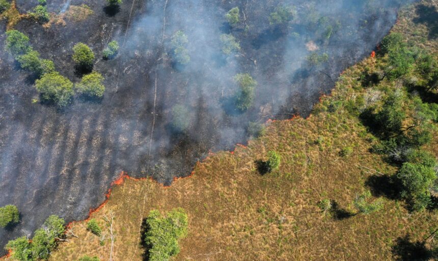Impacto das mudanças climáticas pode equivaler a 3,3 milhões de anos de transformações nas vegetações tropicais