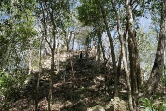 Arqueólogos encontram ruínas maias na península de Yucatán - 20/07/2026 - Ciência
