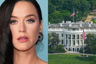 Katy Perry critica Casa Branca por usar 'Firework' em vídeo militar: 'Não fui consultada e não autorizo'