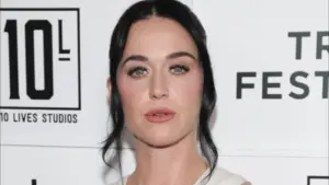 Katy Perry critica Casa Branca após uso de "Firework" em vídeo de guerra