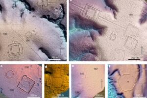 Região do Acre pode ter 20 mil monumentos pré-colombianos - 29/07/2026 - Ciência