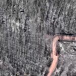 VÍDEO mostra devastação em florestas da Espanha após incêndios em meio a onda de calor