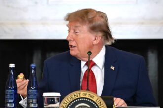 Trump diz que Congresso quer sufocar setor de IA - 07/08/2026 - Tec