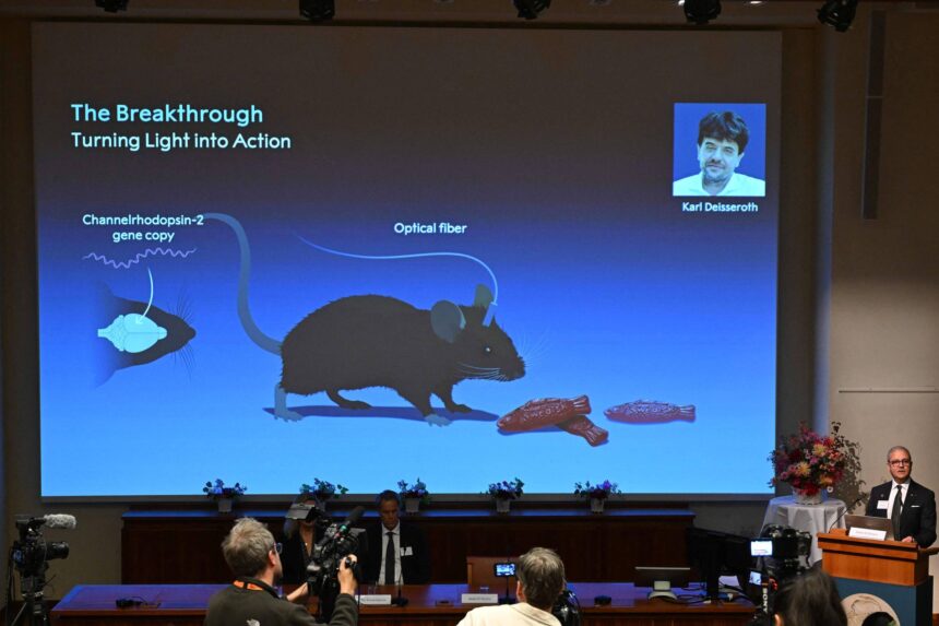 Nobel 2026: estudo com algas levou à avanço neurociência - 05/10/2026 - Ciência